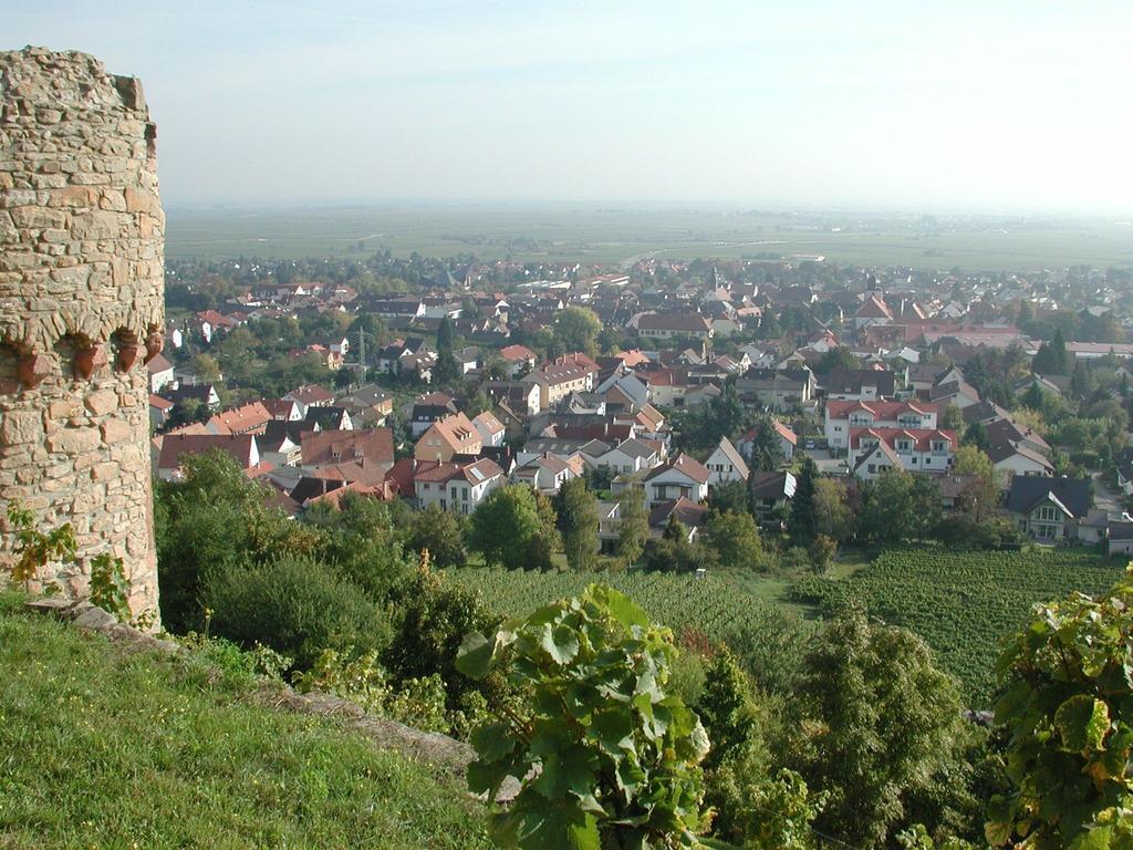 Altstadt-Residenz Manz Wachenheim an der Weinstraße المظهر الخارجي الصورة